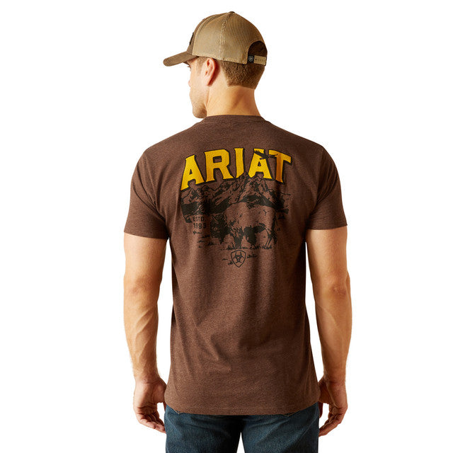 Men's Ariat Bison Sketch Shield T-shirt - Brown Heather