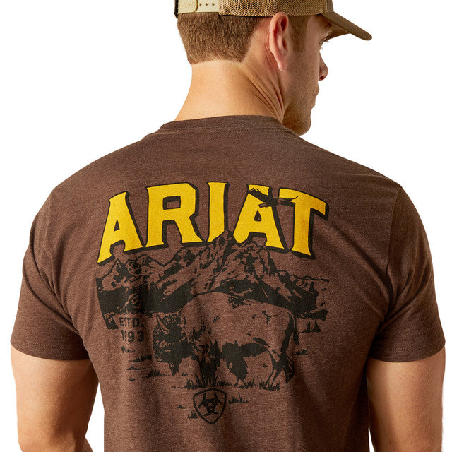 Men's Ariat Bison Sketch Shield T-shirt - Brown Heather