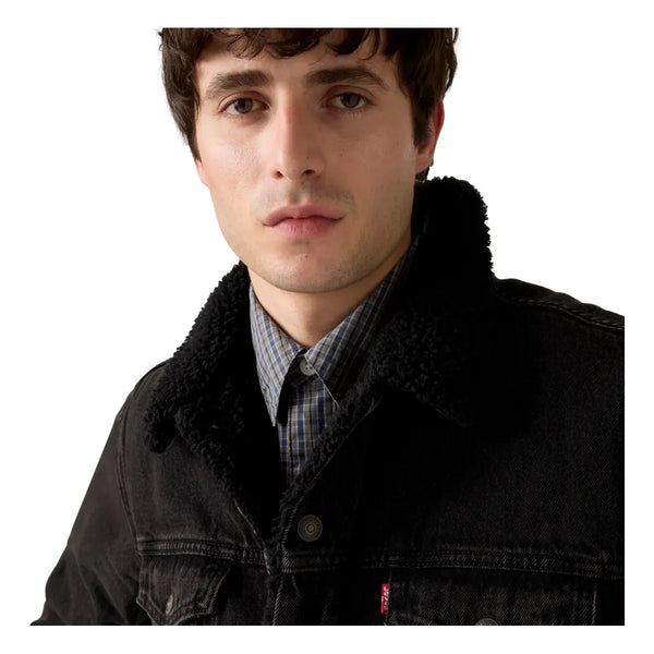 Men's Levi's Canvas Type III Sherpa Trucker Jacket-Cougar Black
