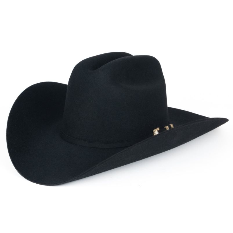 Stetson Guadalupana Black 6X Beaver Fur Felt Western Rodeo Riding Cowboy Hat.