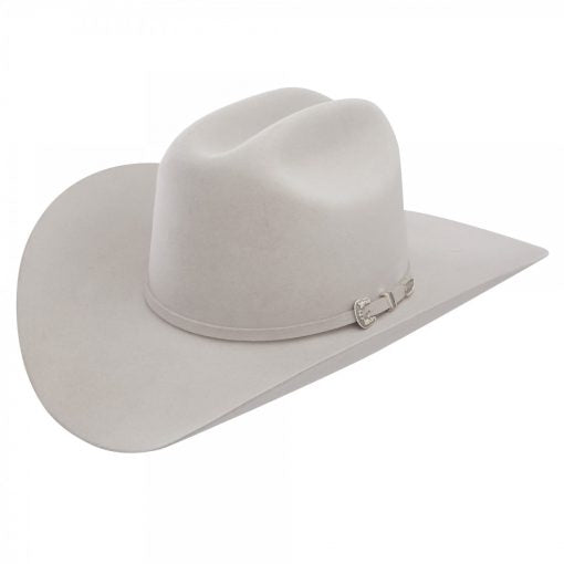 Stetson Skyline Silvergrey 6X Beaver Fur Felt Western Rodeo Riding Cowboy Hat